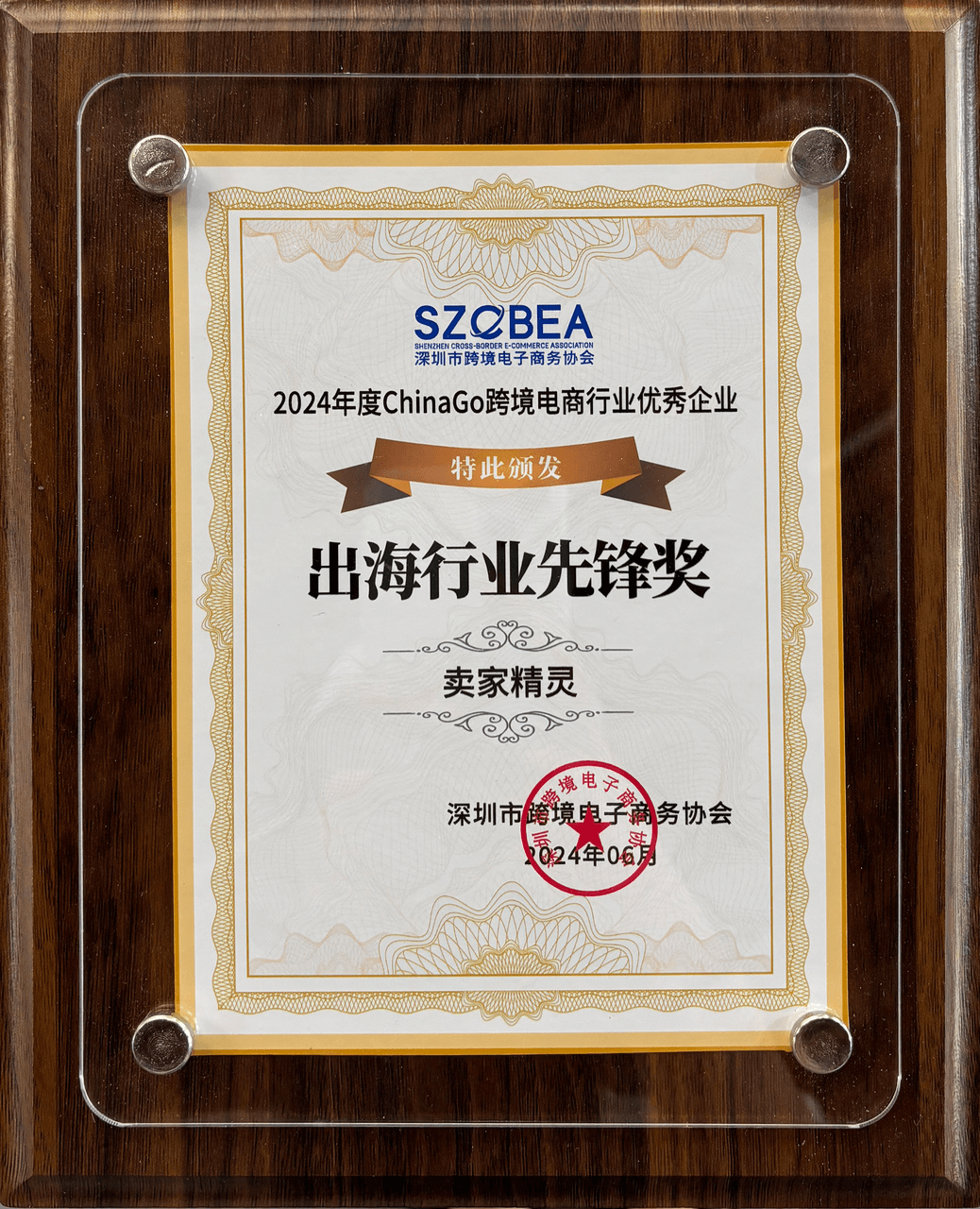 2024年度ChinaGo出海行業(yè)先鋒獎(jiǎng)